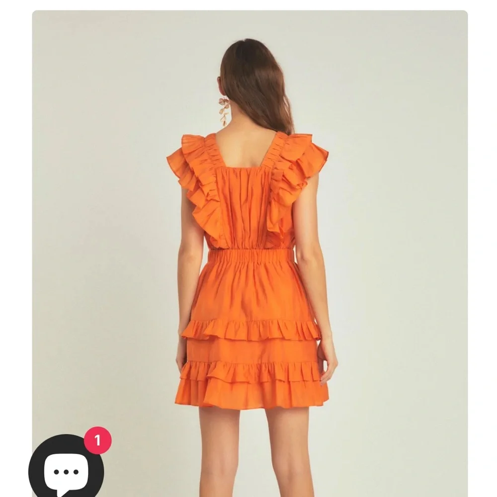 Endless Rose Ruffle Detail Mini Dress - Picture 5 of 6